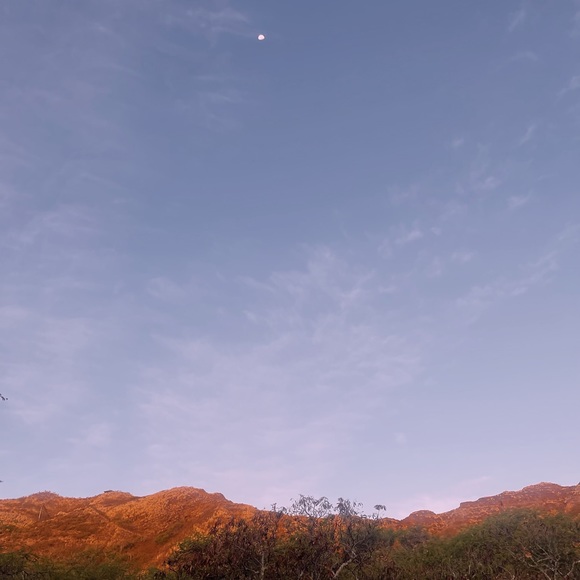 Meet your Posher, Markell - Picture 1 of 1